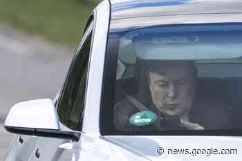 Aldi, Lidl, Kruidvat en Action stunten met 5 belachelijk goedkope ... - Want