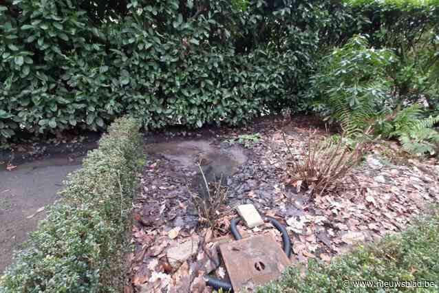 Schepen kan bewoners Sinjorendreef die om riolering smeken weinig hoop geven