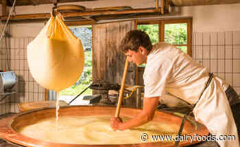 Moving towards carbon neutral cheesemaking