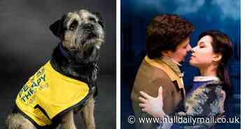 Hull therapy dog Hugo courts the limelight in romantic opera