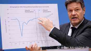 Habecks Jahreswirtschaftsbericht: Mit Entschlusskraft ins neue Jahr