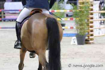 Geen obstakel te Zwaar voor Jordy Verboven en Wout Michiels in ... - Equnews