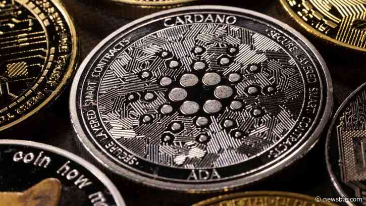 Cardano’s Aggressive Development Activity Will Withstand Bear Assault At $0.3?