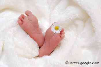 Standesamt Gotha: 2022 wurden 541 Geburten beurkundet und 224 ... - Oscar am Freitag