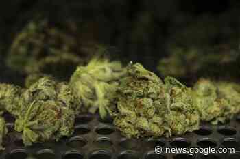 Cannabis company The Green Organic Dutchman Holdings ... - Virden Empire Advance