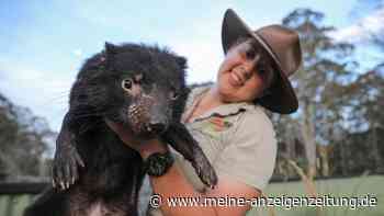 „Echte VIPs“: Tasmanische Teufel als Jetsetter