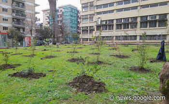 Cosenza, da piazza Gullo fino a via Panebianco: prosegue la ... - Quotidiano online