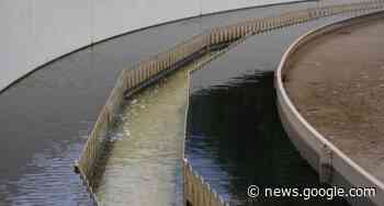 Lega Massa sulla Partaccia: "Miglioramenti di Gaia sotto gli occhi di ... - La Gazzetta di Massa e Carrara