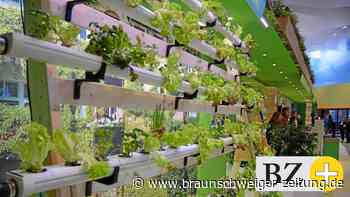 Grüne Woche: Kleiner, aber regionale Aussteller sind zufrieden