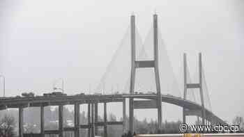B.C. commuters interfered with officers' attempt to save life on highway bridge, police say