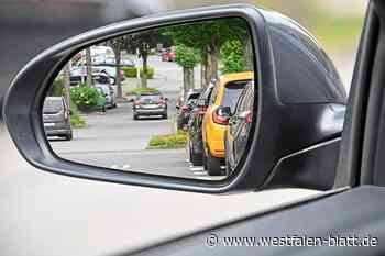 Stellplatzsatzung für Borchen mehrheitlich empfohlen