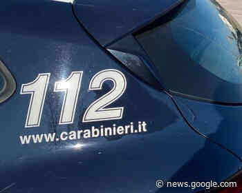 Borsa schermata e violenze per depredare supermercato: arrestato ... - Modena 2000