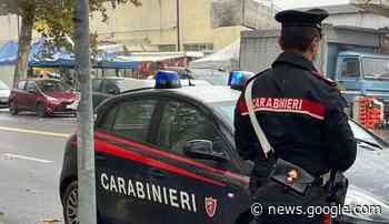 MODENA: CONTROLLI DEI CARABINIERI AL PARCO NOVISAD - Tvqui