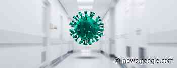 NIH Negligent in Canceled Wuhan Coronavirus Grant, Watchdog Says - Bloomberg Law