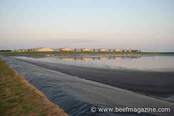 EPA to study concentrated animal feeding operations