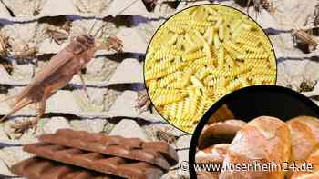 Insekten längst in beliebten Lebensmitteln – Liste reicht von M&amp;M bis Schoko-Bon