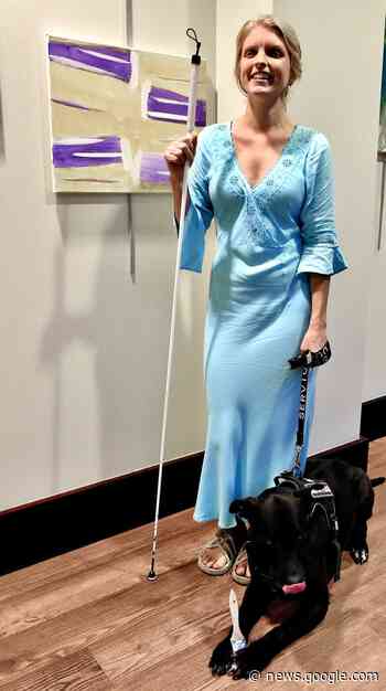 Cartersville library's Art Gallery showcases works of blind abstract ... - Daily Tribune News