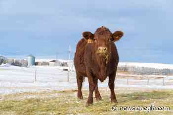 Federal/provincial Agriculture Development Fund invests $6 million ... - CJWW