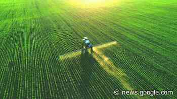 How AI Will Yield Major Benefits For Agriculture - TechNative