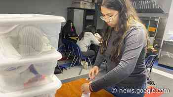 Bob Hope agriculture program grows in first year - Port Arthur News - The Port Arthur News