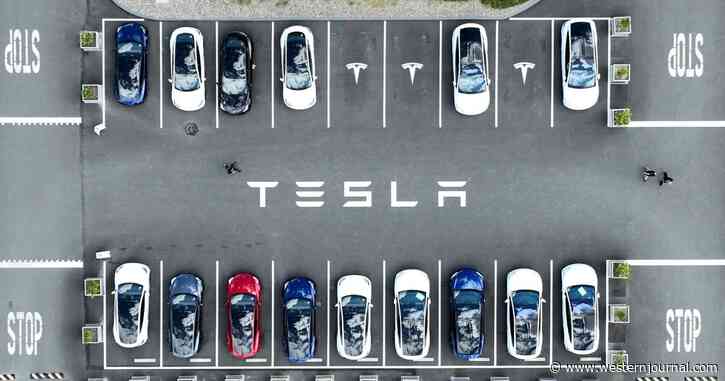 Tesla Owners Experience Major Buyer's Remorse After Losing Thousands of Dollars Overnight: 'Cheated and Robbed'