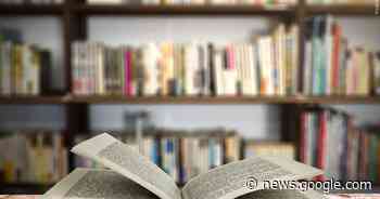 Beloit Sky Carp owners make $500K donation to local literacy program - WKOW