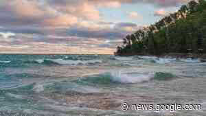 Carp Control - Daily North Shore