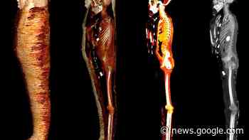 Archäologie: 49 Amulette für die Reise ins Jenseits - WELT