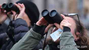 Vogelzählung bestätigt zurückgegangene Zahl von Vögeln | Reise - Thüringer Allgemeine