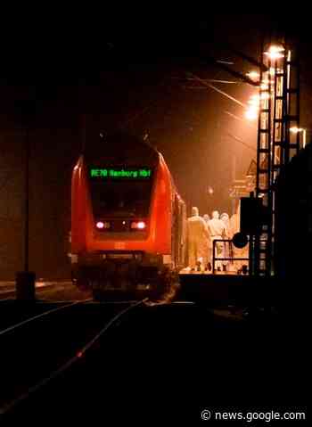 Man stabs passengers on German train; 2 dead, 5 injured - Dawson Creek Mirror