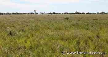 Highly regarded western division country