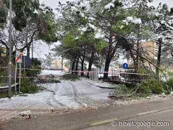 Foligno in tilt per la neve: asilo evacuato per precauzione. Rami ... - Rgunotizie.it