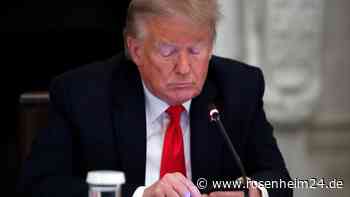 Facebook-Konzern Meta hebt Sperre für Trump auf