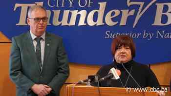 Delegates make the case for addictions treatment facility in Thunder Bay, but province won't commit