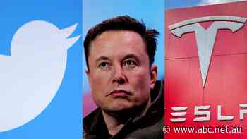 Tesla makes record profit, despite price cuts, inflation and Elon Musk
