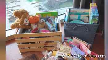 ‘It's Been Really Touching.' West Loop Neighbors Rally Around Mother and Daughter Carjacked At Dog Park