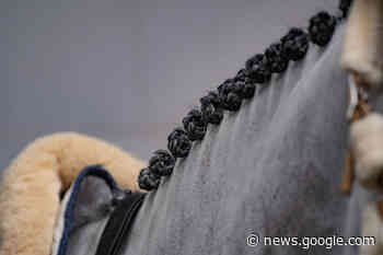 Geslaagde Regiofinale in Den Ham - Equnews Nederland