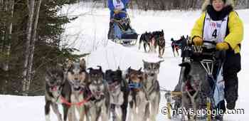 All you need to know about this weekend's Beargrease Sled Dog ... - The Bemidji Pioneer