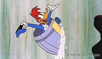 Video: Wacky cartoon woodpecker's attempts to go over Niagara ... - insauga.com