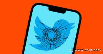 Twitter Still Has Security Flaws After Musk Takeover, Whistleblower Alleges     - CNET
