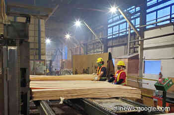 B.C. to dedicate some provincial timber supply to value-added ... - Ashcroft Cache Creek Journal