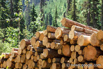 Sinclar announces temporary curtailment of several northwest B.C. ... - Ashcroft Cache Creek Journal