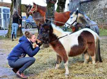 Saint-Sauveur-en-Puisaye, Sens, Joigny, Avallon, Tonnerre ... - L'Yonne Républicaine