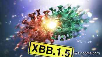 WHO: Gefährliche Omikron-„Kraken“ breiten sich in Europa aus ... - hna.de