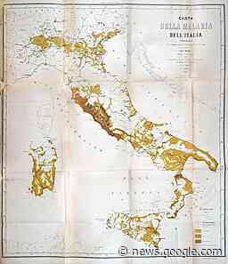 C'era una volta, cento milioni di anni fa, la malaria - Fondazione Umberto Veronesi