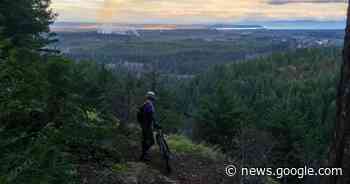 B.C. municipal election 2022: Cumberland results - BC | Globalnews ... - Global News