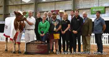 Action from the International Dairy Week interbreed judgings