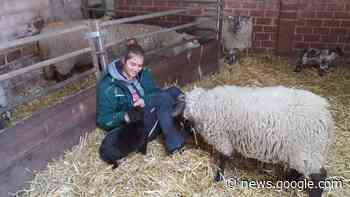 Kristin Barkhaus aus Hamm vertritt auf Grüner Woche die junge ... - wa.de