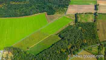 Mehr Wald für Hamm: Stadt will ordentlich aufforsten - wa.de