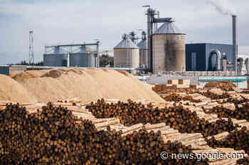 Rekordeinschnitt und neue Werksleitung bei Pfeifer Lauterbach - Osthessen-Zeitung